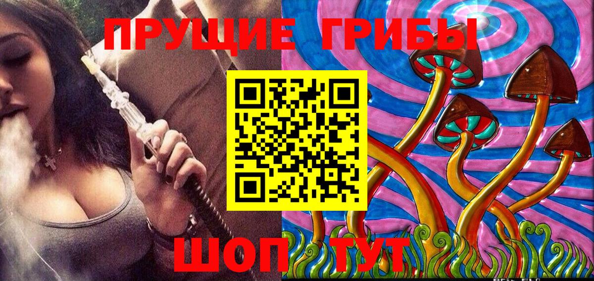 Псилоцибиновые грибы Psilocybine cubensis  Вход с VPN  Кингисепп 